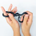 Tangle Jr. Masterpiece