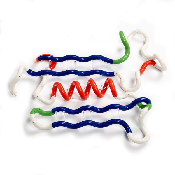 Tangle Protein Building Set