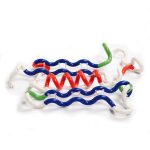 Tangle Protein Building Set