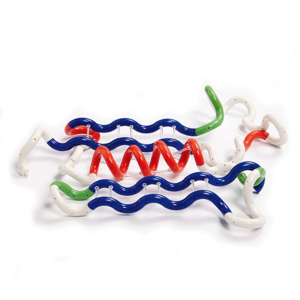 Tangle Protein Building Set